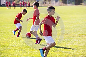 Boy Soccer Player In Training