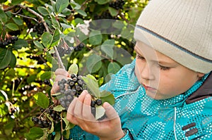 boy with a sprig of Aronia