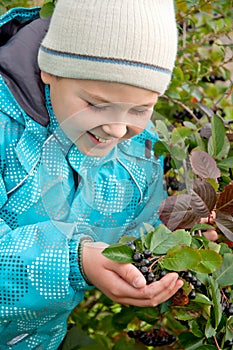 Boy with a sprig of Aronia