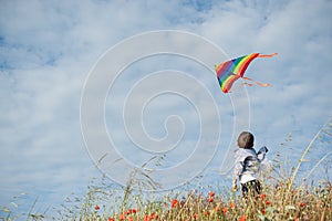 Boy standing in the field holds a flying kite flying in the air against the beautiful sky