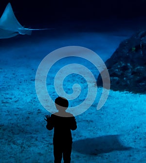 Boy standing by an oceanarium