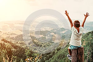 Boy standing on of stump in summer mountains