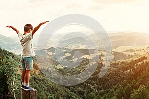 Boy standing on of stump in summer mountains