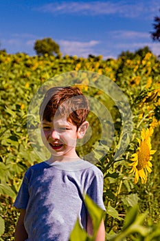 A boy standing in a sunflower field