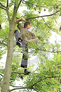 Boy standing on the tree