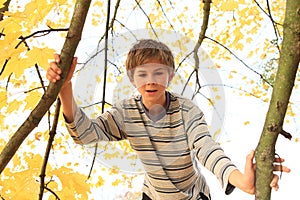 Boy standing on the tree