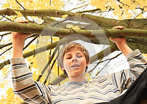 Boy standing on the tree