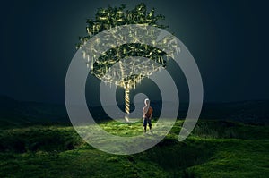 Boy stands in front of illuminated tree