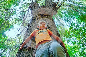 A boy stands near a large tree, wide-angle photo, view from below