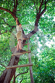 The boy stands on top of a wooden stepladder, leaning against a tree in a garden or park
