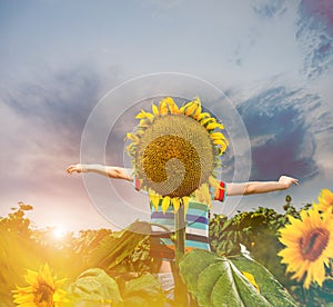 Boy spreading hands behind sunflower