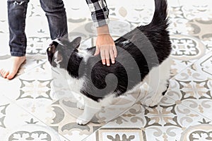 Boy stroking black and white cat at home. Emotion