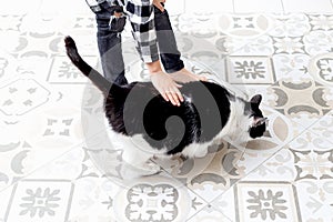 Boy stroking black and white cat at home. Sensorial