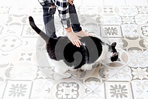 Boy stroking black and white cat at home. Sensorial photo