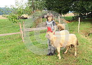 Boy stroking a sheep