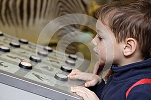 Boy studying birdsong