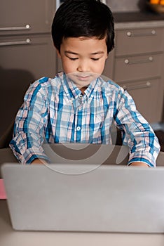 Boy studying online with laptop at