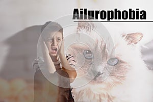 Boy suffering from ailurophobia. Irrational fear of cats