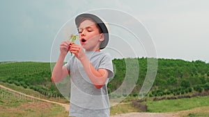 Boy in summer hat is blowing on a big dandelion