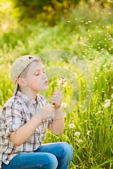 Boy on summer nature with dandelions