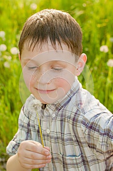 Boy on summer nature with dandelions