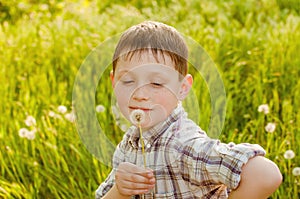 Boy on summer nature with dandelions