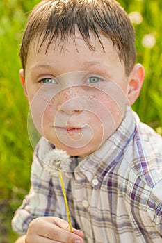 Boy on summer nature with dandelions