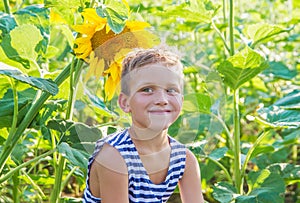 Boy among sunflower field