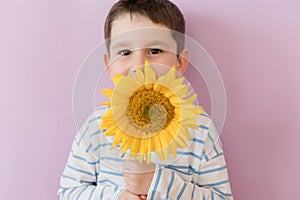 Boy with sunflower on pink background