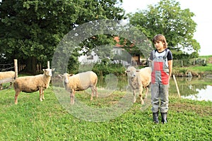 Boy taking care of sheep