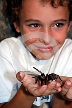 Boy with tarantula