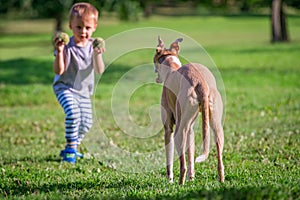 Boy throwing ball for a dog