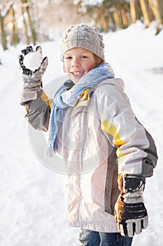 Boy About To Throw Snowball In Snowy Woodland