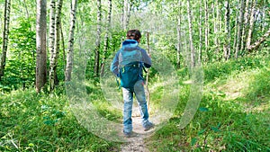 A boy with a tourist backpack and a trekking stick is engaged in orienteering in a deciduous forest. A child walks on a tourist
