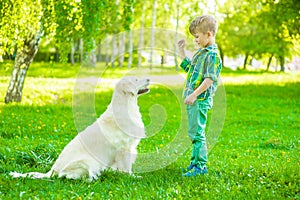Boy training dog on green grass