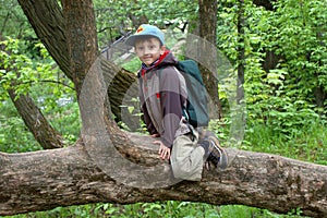 Boy in a tree