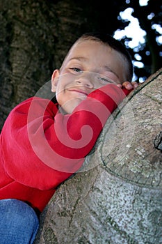 Boy in Tree