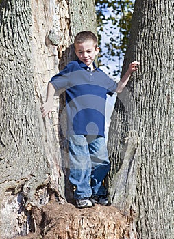 Boy in tree