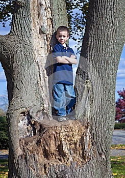 Boy in tree