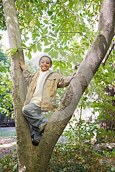 Boy in a tree