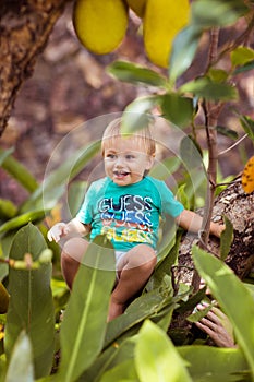 Boy on the tree