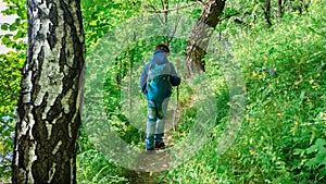 A boy with a trekking stick walks the hiking trail to the family camping camp. Boy tourist walks through a clearing in the forest