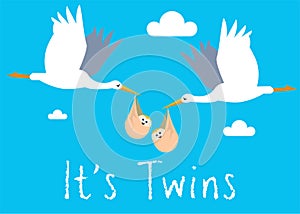 Boy Twins Birth Illustration