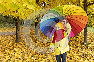 Boy twists bright multi-colored umbrella in autumn park. Happy autumn time. Family is walking in the park. Beautiful