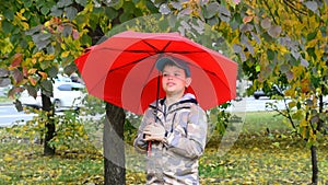 Boy with a umbrella in autumn day. Kid is smiling. Behind the back of the boy magnificent yellow tree. He is trying to