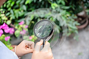 Boy using magnifying glass looking and learning at green leaf in biology class