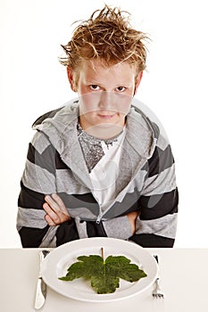 Boy with vegetarian dinner