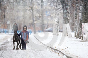 Boy walking with a big dog in winter park