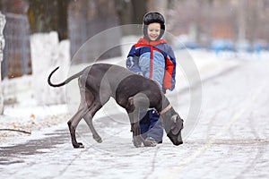 Boy walking with a big dog in winter park