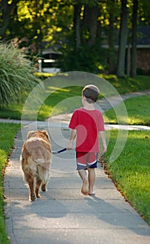 Ragazzo il cane 